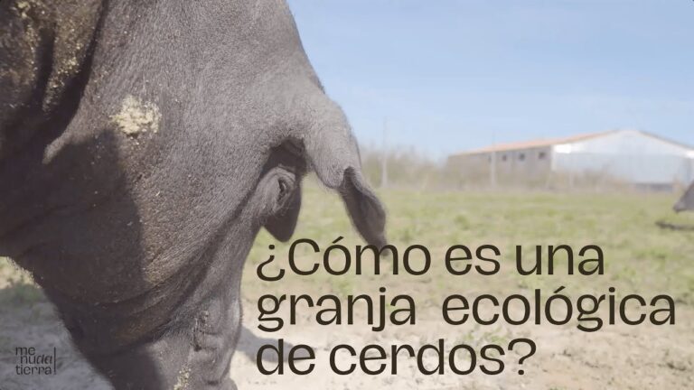Gu&iacute;a para Comprar Alimentos Ecol&oacute;gicos en Matar&oacute;