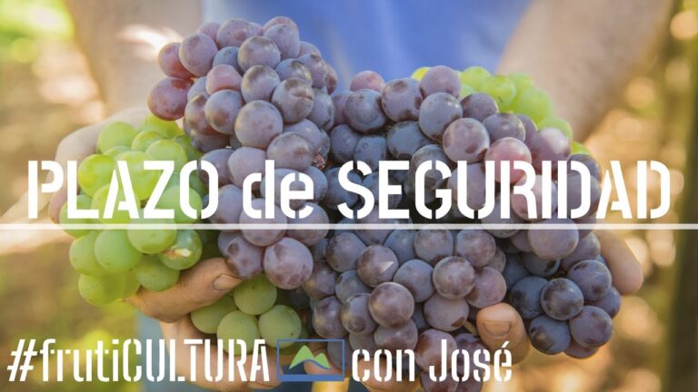 Guía para Encontrar Tiendas de Jardinería en Argentona